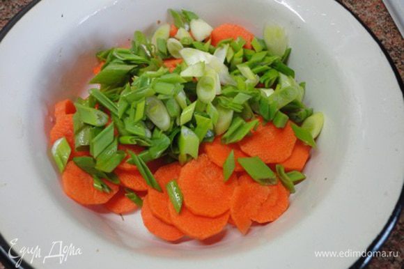 Морковь нарезать кружочками, а зеленый лук колечками.