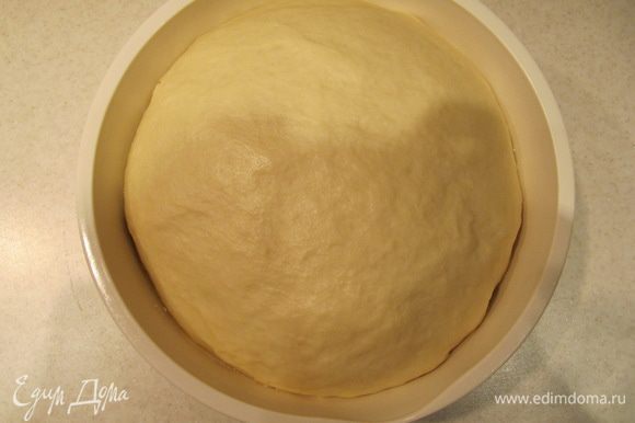 Тесто положить в глубокую миску, смазанную тонким слоем растительного масла, накрыть пленкой и отправить в теплое место на 40 минут. Тесто должно увеличиться в объеме минимум вдвое.