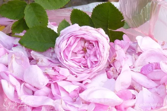 Отделите лепестки роз от бутонов. Цветы розы должны быть полностью созревшими, яркими и ароматными.