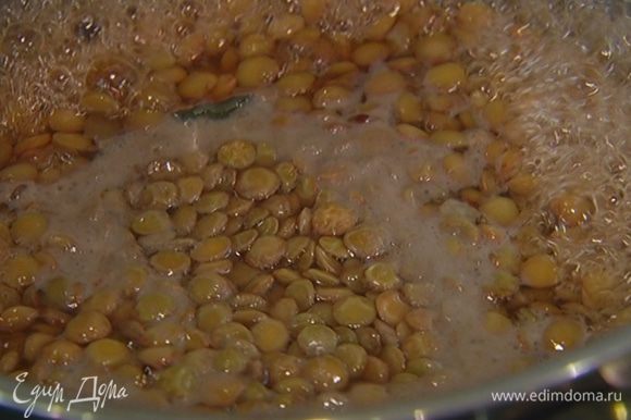 Чечевицу и чеснок поместить в небольшую тяжелую кастрюлю, залить в три раза большим объемом холодной воды и довести до кипения.
