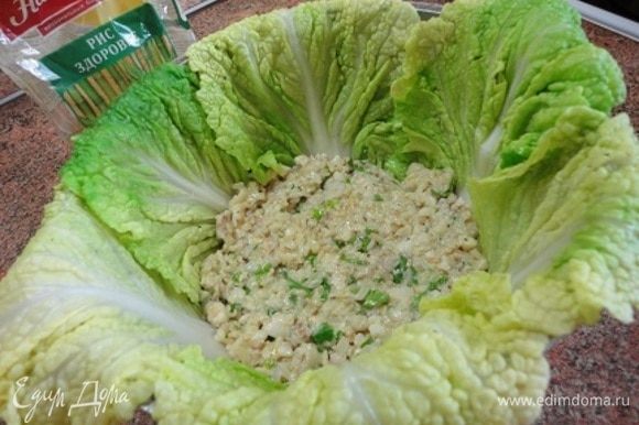 Жаропрочную форму смажьте сливочным маслом и выложите листьями капусты. Затем выложите слой начинки. Чередуйте капусту и начинку. Верхним слоем должна быть капуста.