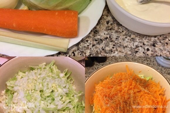 Молодую капусту тонко нашинковать, положить в миску, посыпать солью и слегка помять рукой. Морковь натереть на крупной терке, чеснок, лук и сельдерей мелко нарезать. К капусте добавить морковь, чеснок, лук, сельдерей, перец и перемешать.