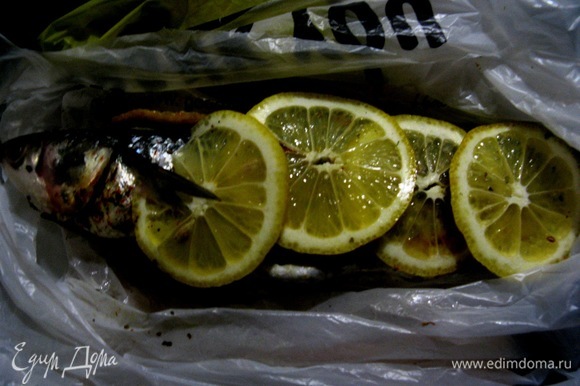 Натираем рыбку и маринуем лимонами и лаймом, маринуем в соке, укутываем и отправляем в холодильник на сутки.