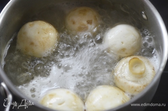 Отварите грибы в кипящей хорошо подсоленной воде 5 минут.