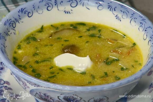 Петрушку порубить очень мелко, посыпать готовый суп и подавать со сметаной.