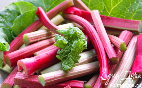 Рецепт Ревень-майская сказка:))