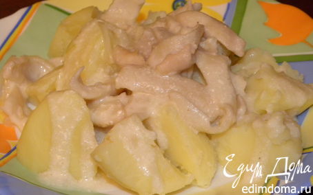 Рецепт Кальмары, тушеные в сметане