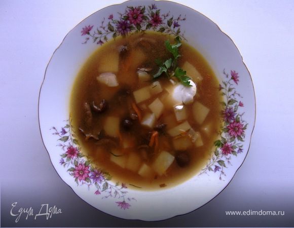 Суп грибной из замороженных опят — рецепт с фото пошагово