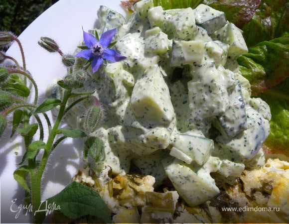 Фруктовый салат с йогуртом: простой рецепт