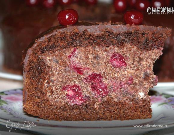Торт «Вишня и шоколад» – пошаговый рецепт приготовления с фото