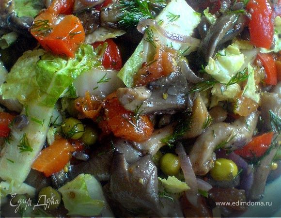 Салат из китайской капусты с помидорами и фасолью рецепт – Китайская кухня: Салаты. «Еда»