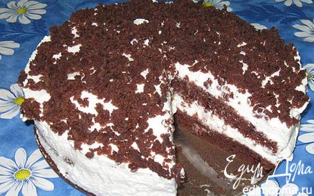 Рецепт Шоколадно-творожный торт