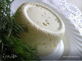 Домашний адыгейский сыр