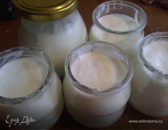 Домашний йогурт без йогуртницы, пошаговый рецепт на ккал, фото, ингредиенты - Какава