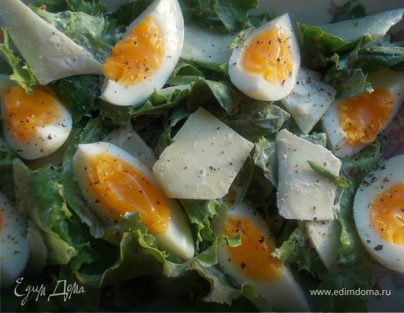 Зеленый салат с яйцом и козьим сыром