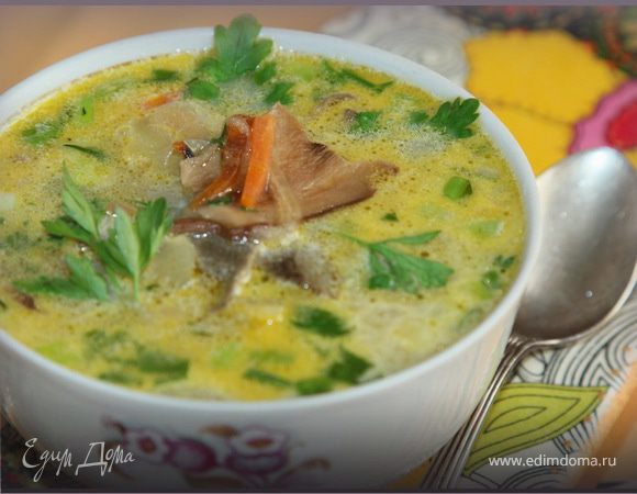 Рецепт: Суп из сухих грибов | с курицей и овсяной крупой, диетический