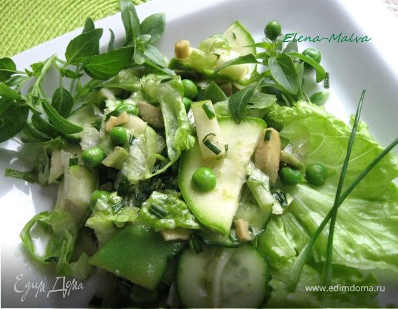 Зеленый салат с яично-сырной заправкой, пошаговый рецепт с фото на ккал
