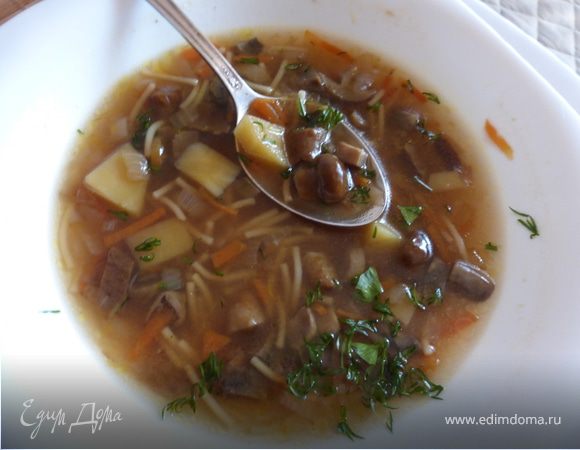 Грибной суп — рецепт с фото пошагово