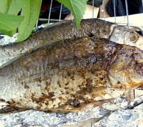 Рыбка-гриль