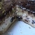 Бисквитный торт с творожно - сметанной начинкой и черносливом