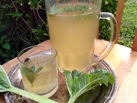 Холодный чай с ревенем и мятой