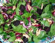 Салат из шпината с красным луком, ежевикой и грецкими орехами