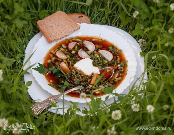 Холодные супы, пошаговые рецепты с фото - Волшебная manikyrsha.ru