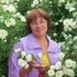 Елена Шалапугина